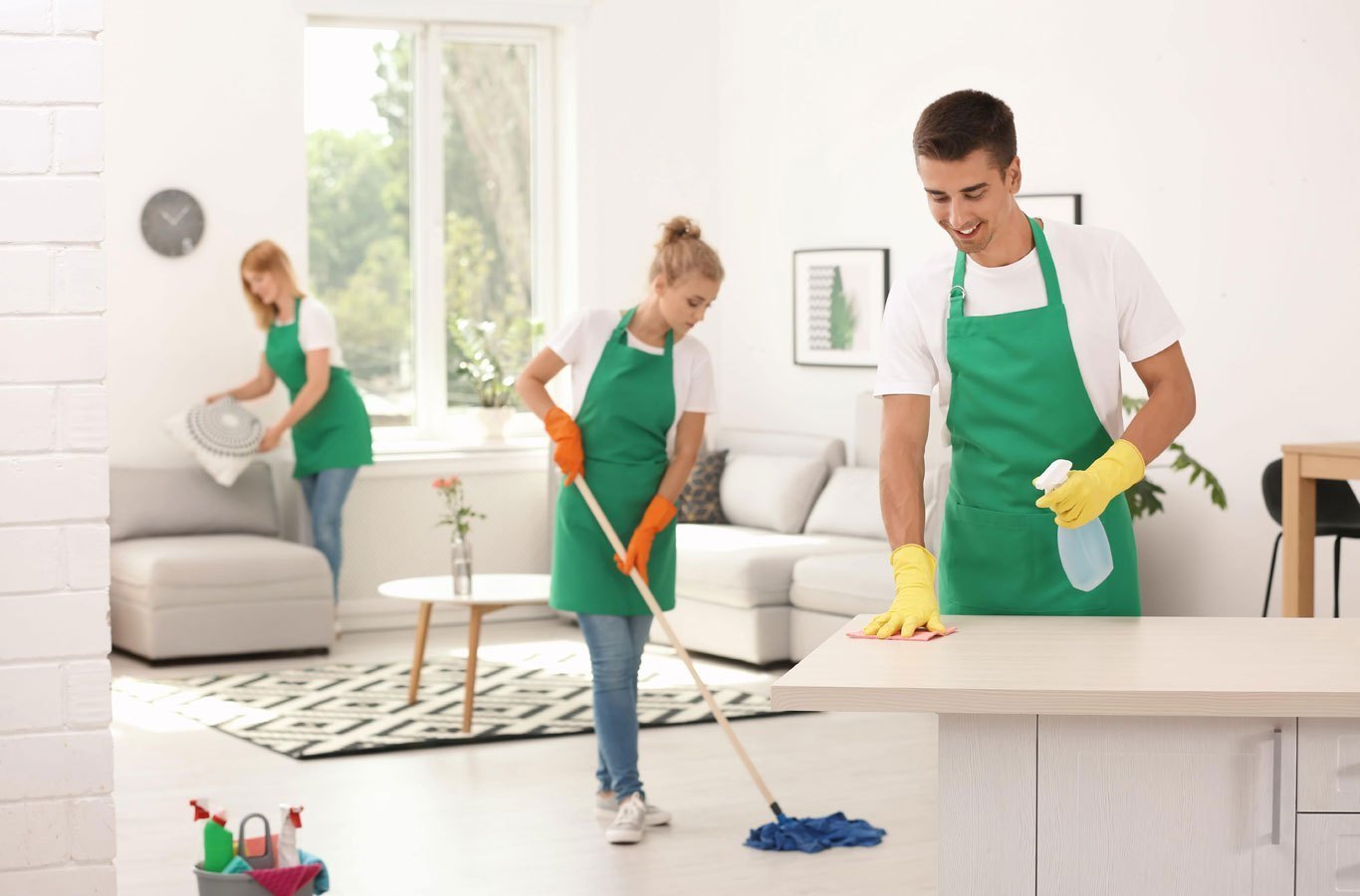 Professional Home Cleaning